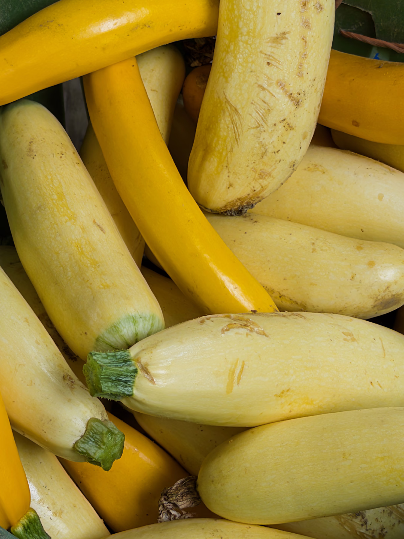 Seasonal yellow squash and vegetables for a local food box